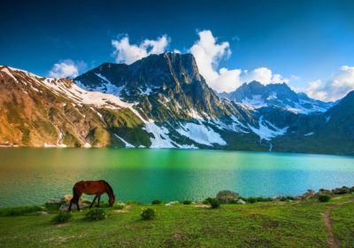 Kashmir-Great-Lakes-trek-Shepherd-Traveller