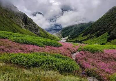 vally